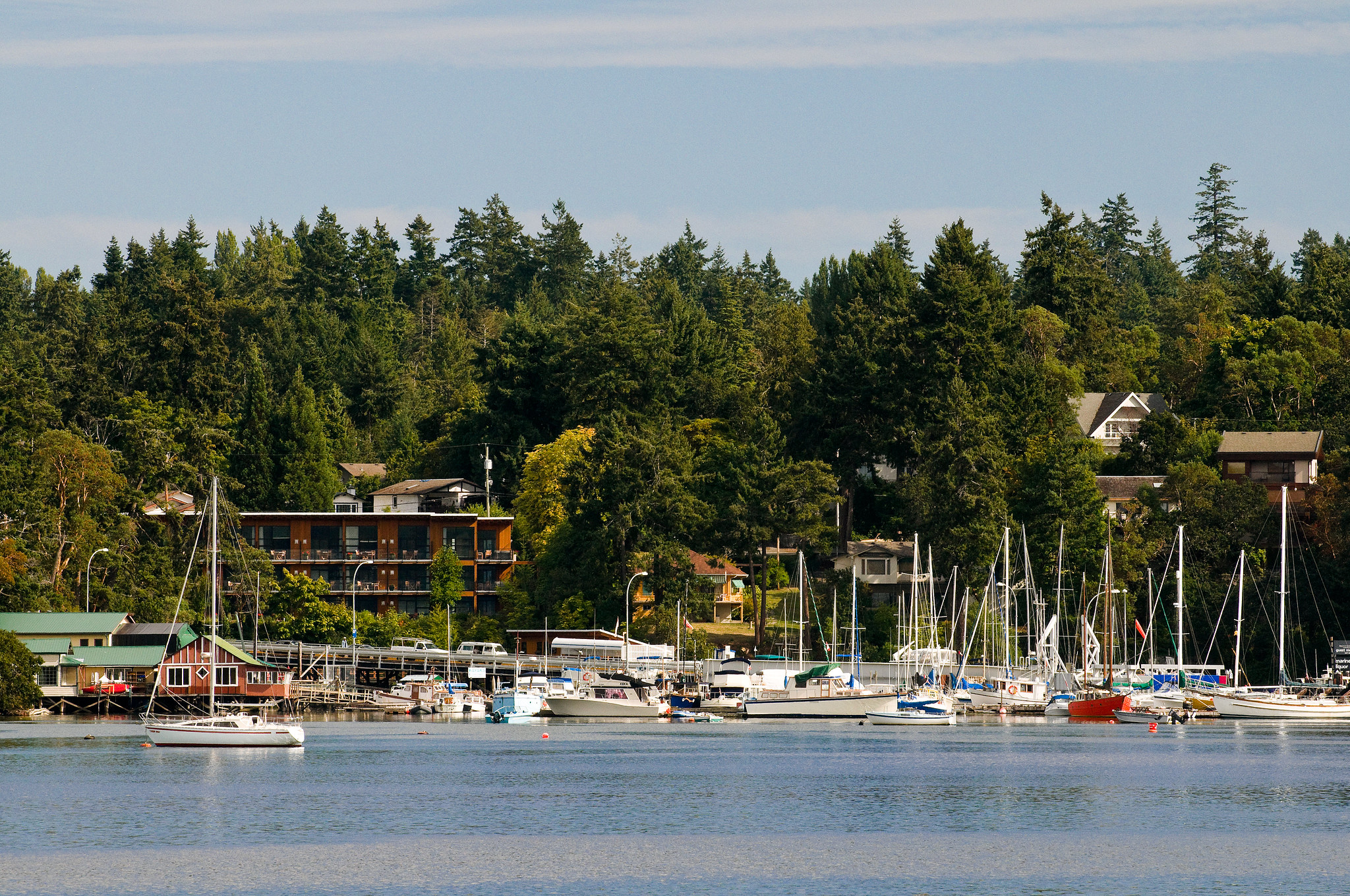 Brentwood Bay shores, Saanich Inlet
