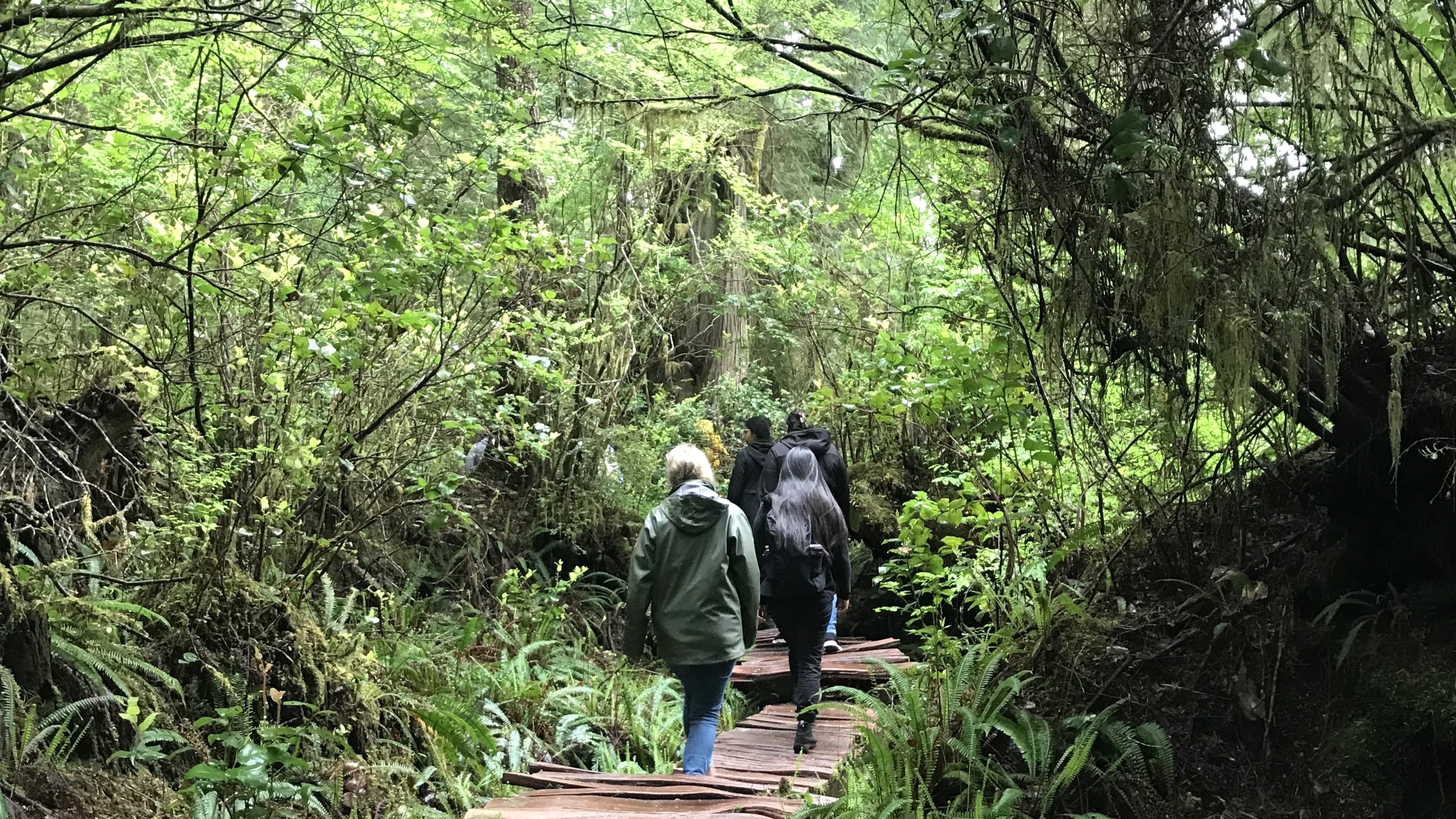 A group of people walking together along a boardwalk trail in the woods.