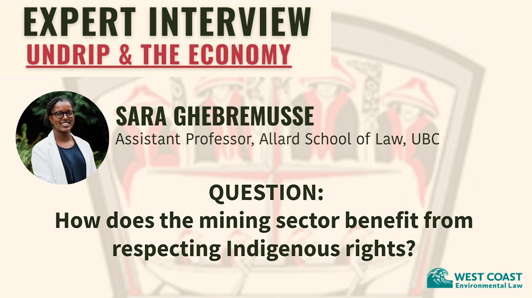 Title graphic with text "Expert Interview: UNDRIP & the Economy" with Sara Ghebremusse, UBC Law Professor