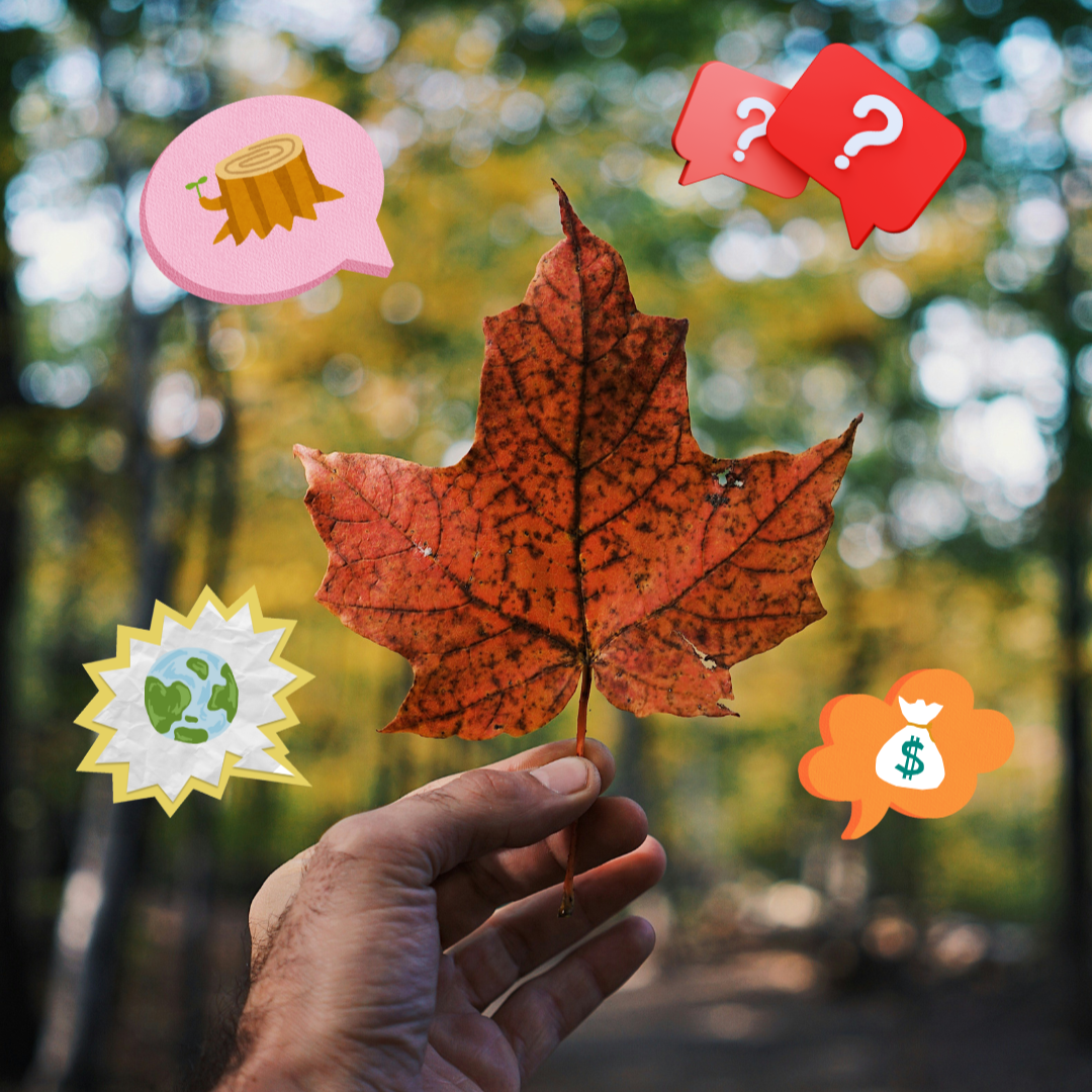 Hand holding maple leaf with illustrated thought and speech bubbles containing environmental icons