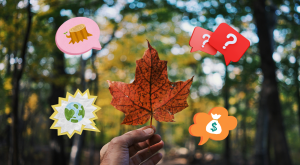Hand holding maple leaf with superimposed speech bubble graphics containing environmental icons