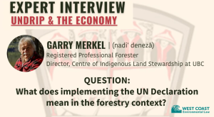 Title graphic with text "Expert Interview: UNDRIP & the Economy" with Garry Merkel, Professional Forester