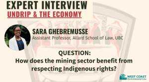 Title graphic with text "Expert Interview: UNDRIP & the Economy" with Sara Ghebremusse, UBC Law Professor