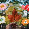 Hand holding maple leaf with superimposed speech bubble graphics containing environmental icons